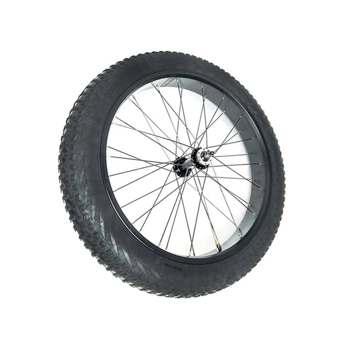 Electric Bike Front Wheel