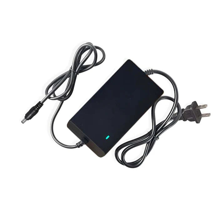 Electric Bike Charger